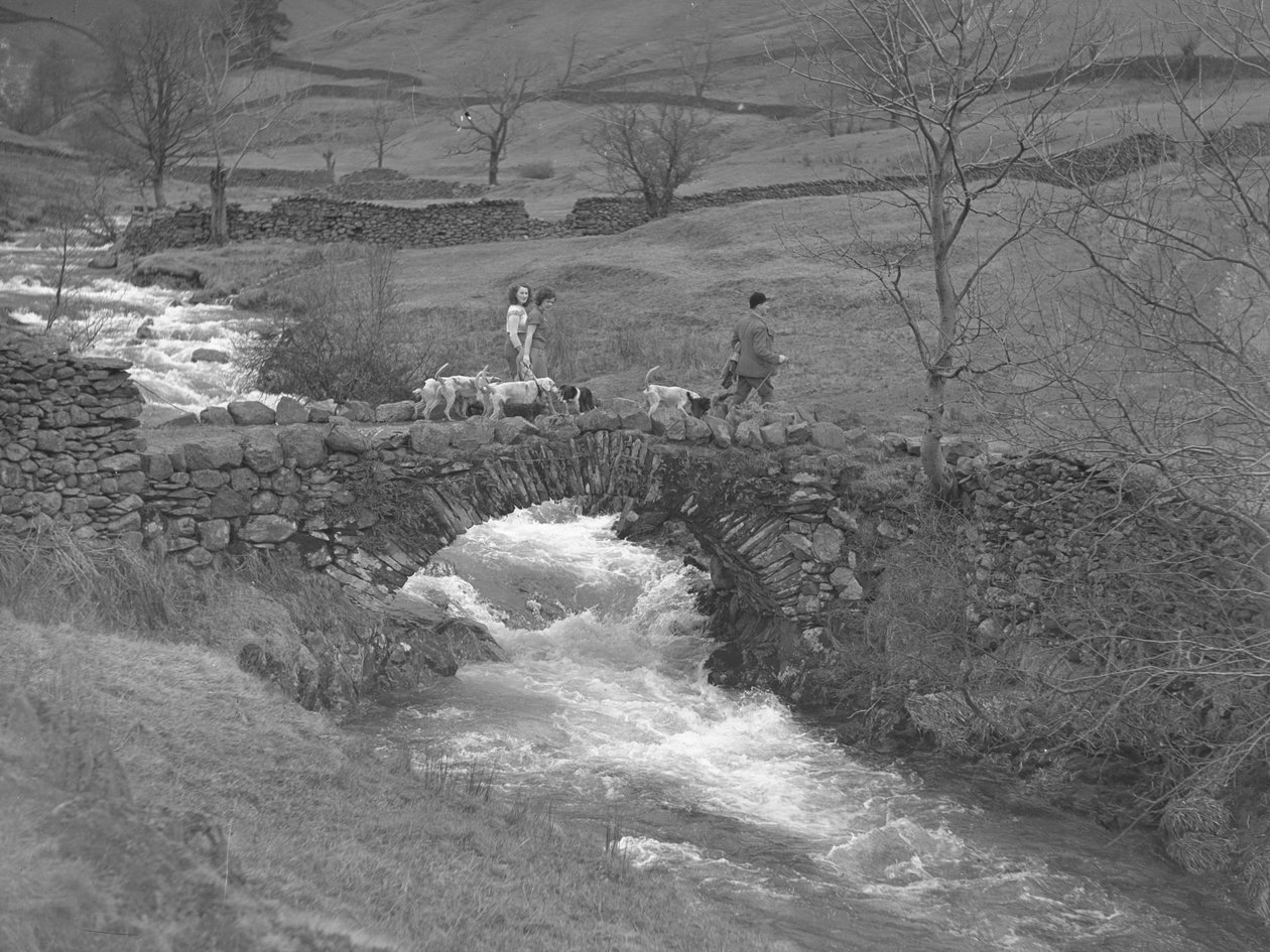  by Joseph Hardman