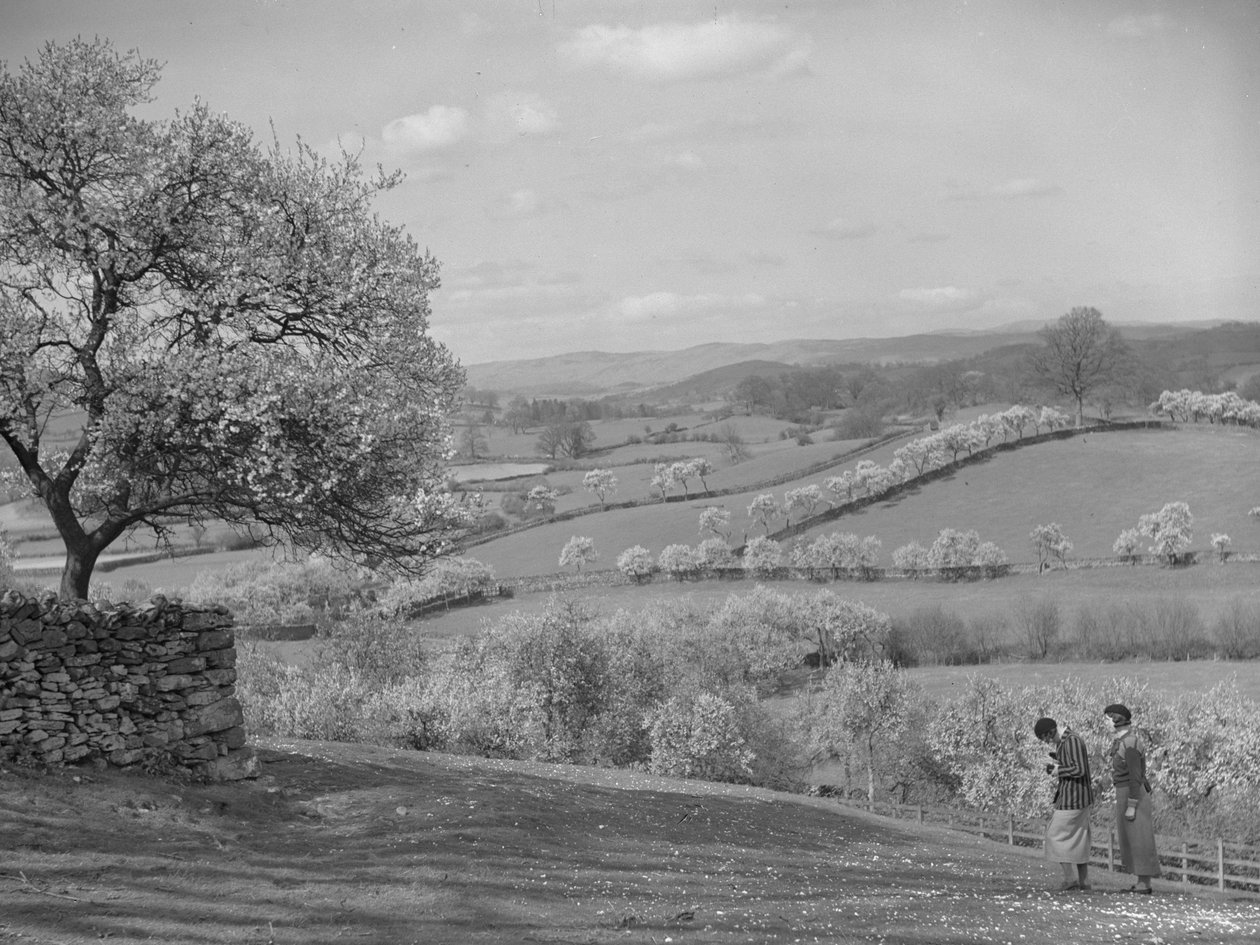  by Joseph Hardman