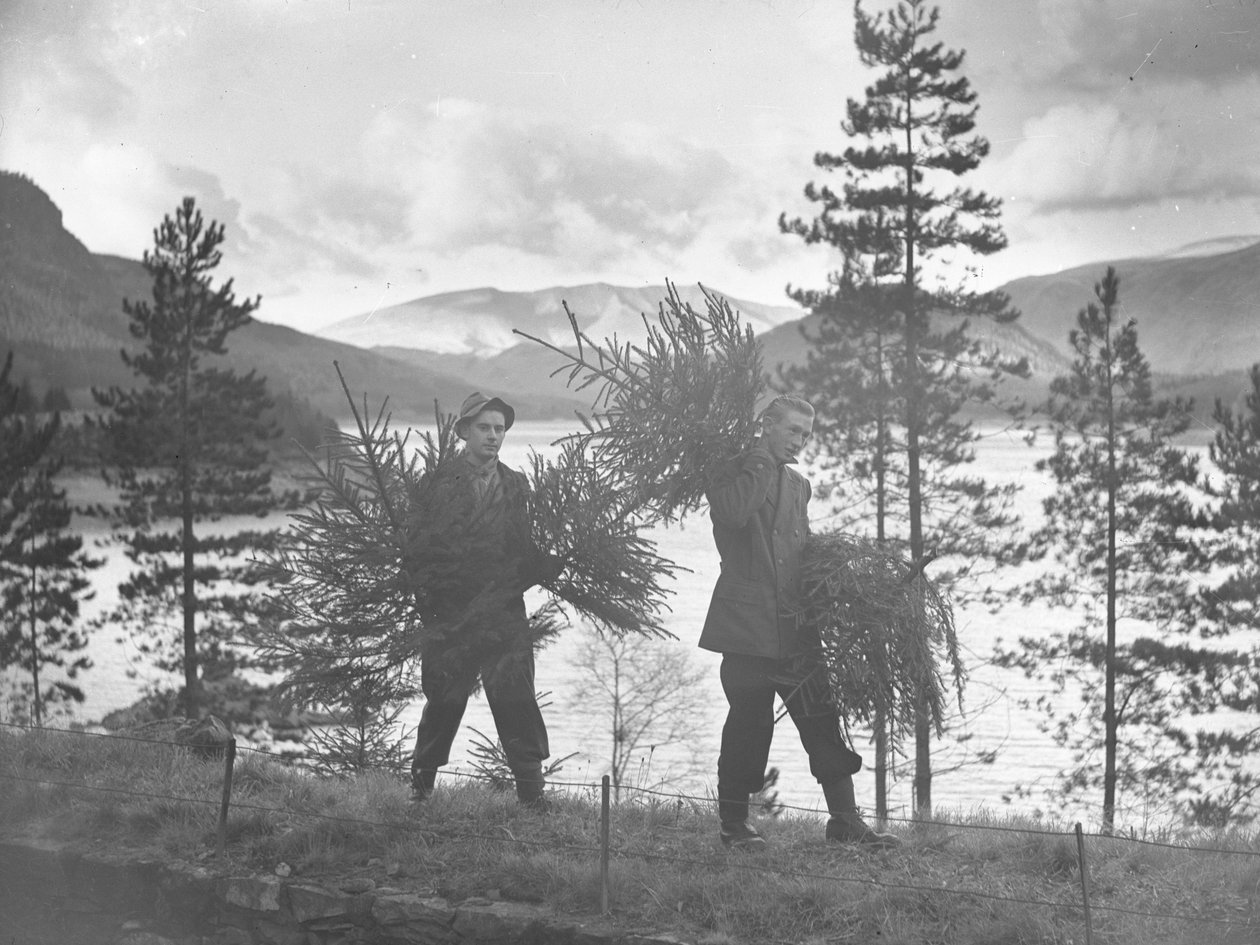  by Joseph Hardman