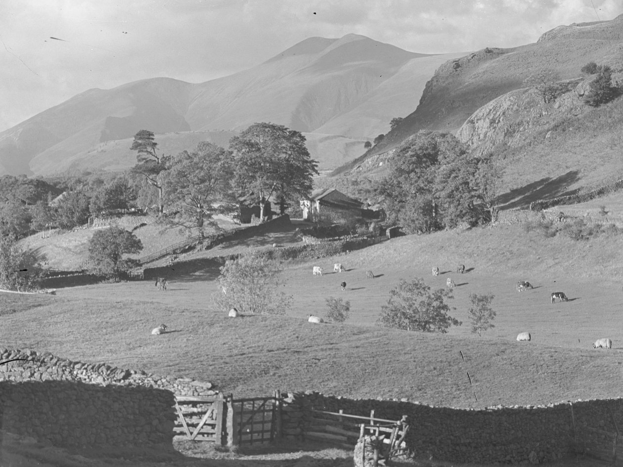  by Joseph Hardman