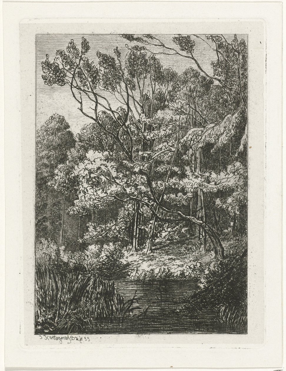 Orman manzarası by Joseph Hartogensis