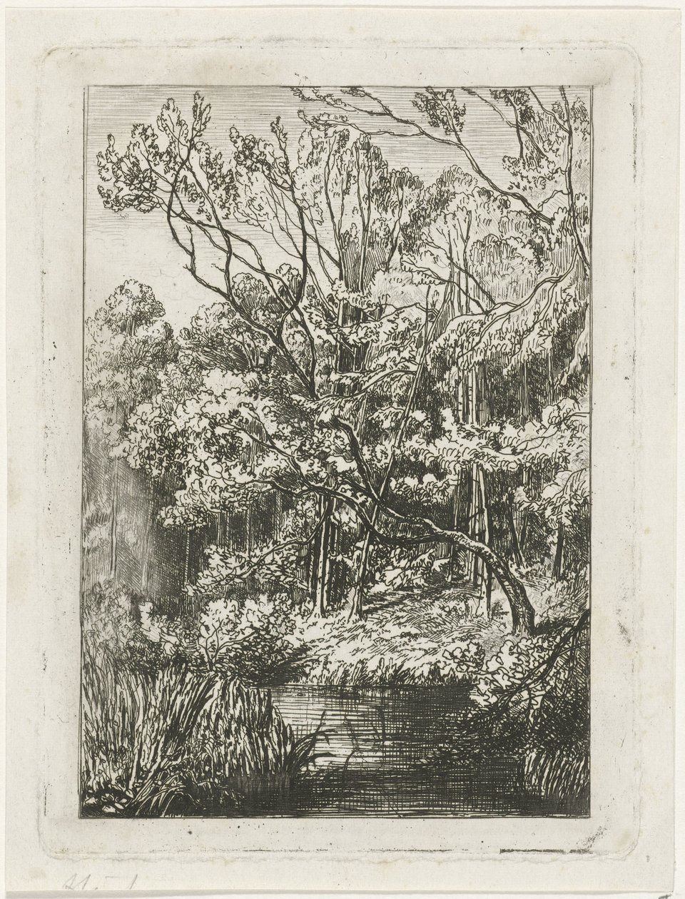 Orman manzarası by Joseph Hartogensis