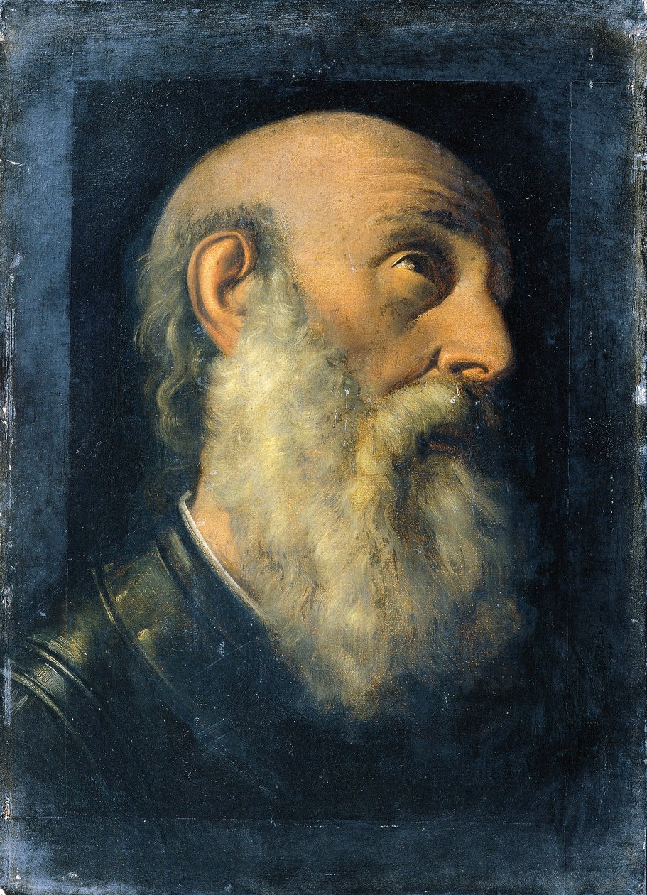 Bir Havarinin Eğitim Başkanı by Joseph Hasslwander