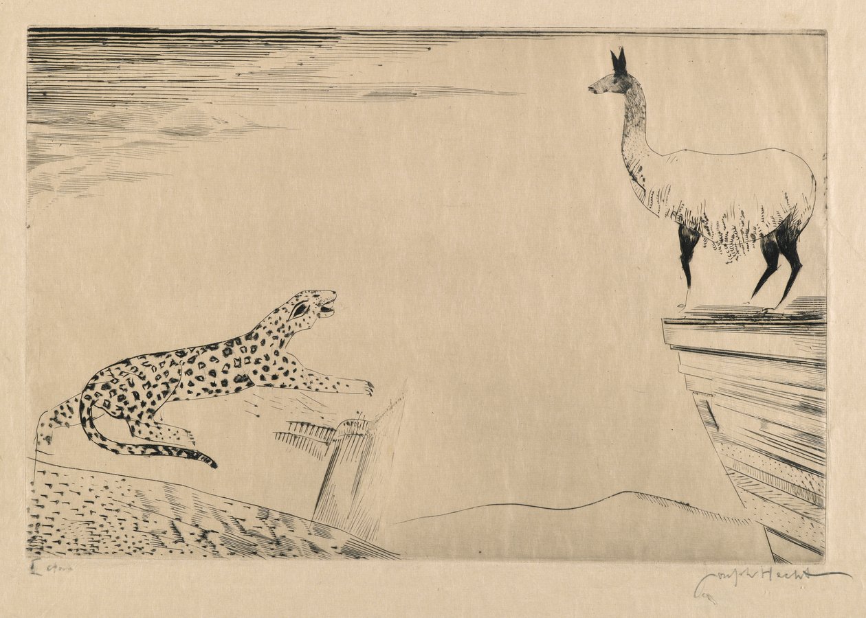 Jaguar ve Lama by Joseph Hecht