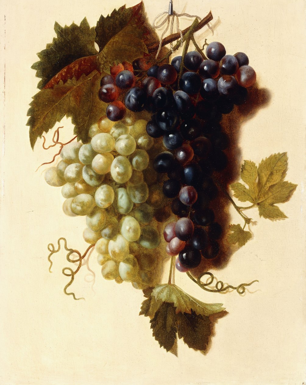 Bir İpten Sarkan Yeşil ve Kırmızı Üzüm Demetleri, c.1796 by Joseph Laurent Malaine