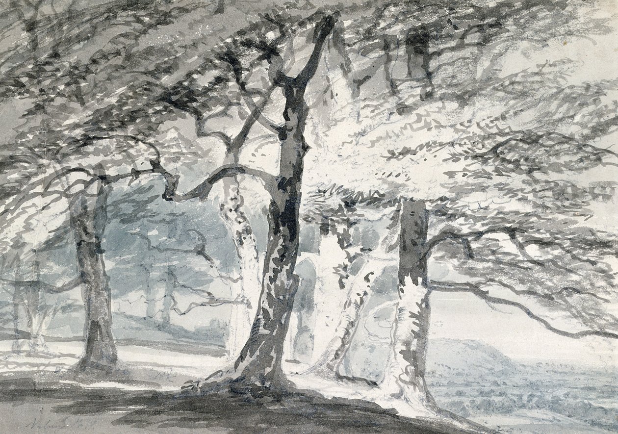 Norbury Park, Surrey (kağıt üzerine kurşun kalem ve sulu boya) by Joseph Mallord William (attr.to) Turner