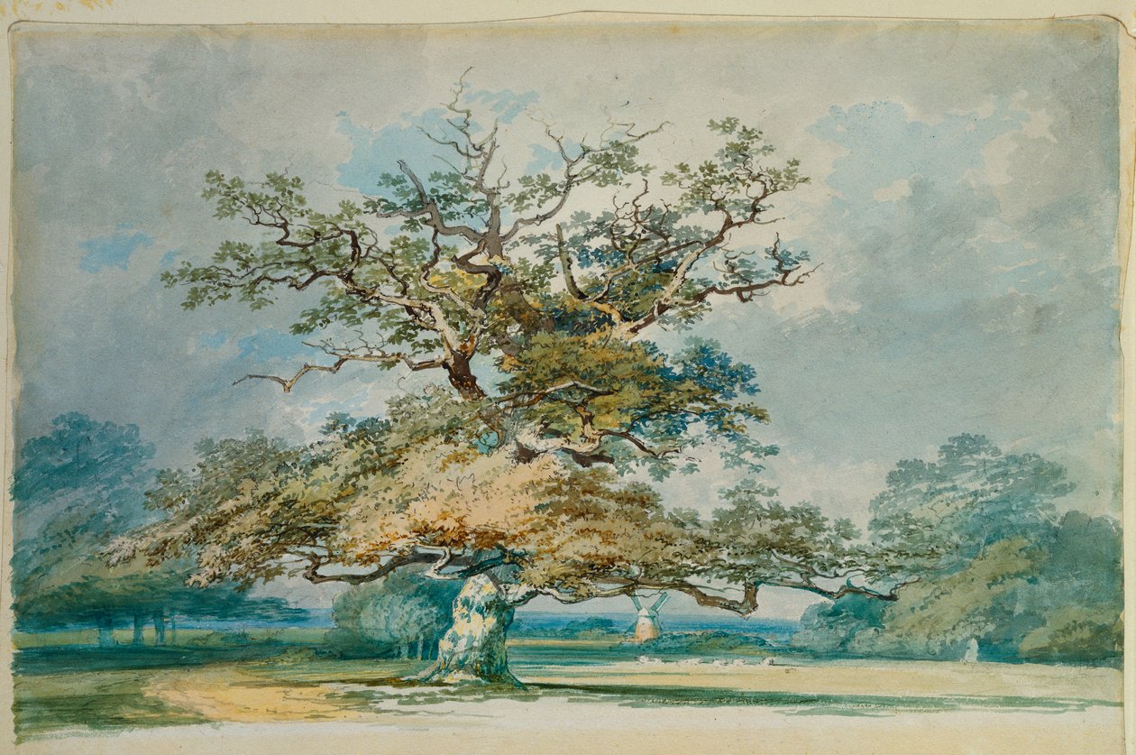 Yaşlı Meşe Ağacıyla Bir Manzara by Joseph Mallord William Turner