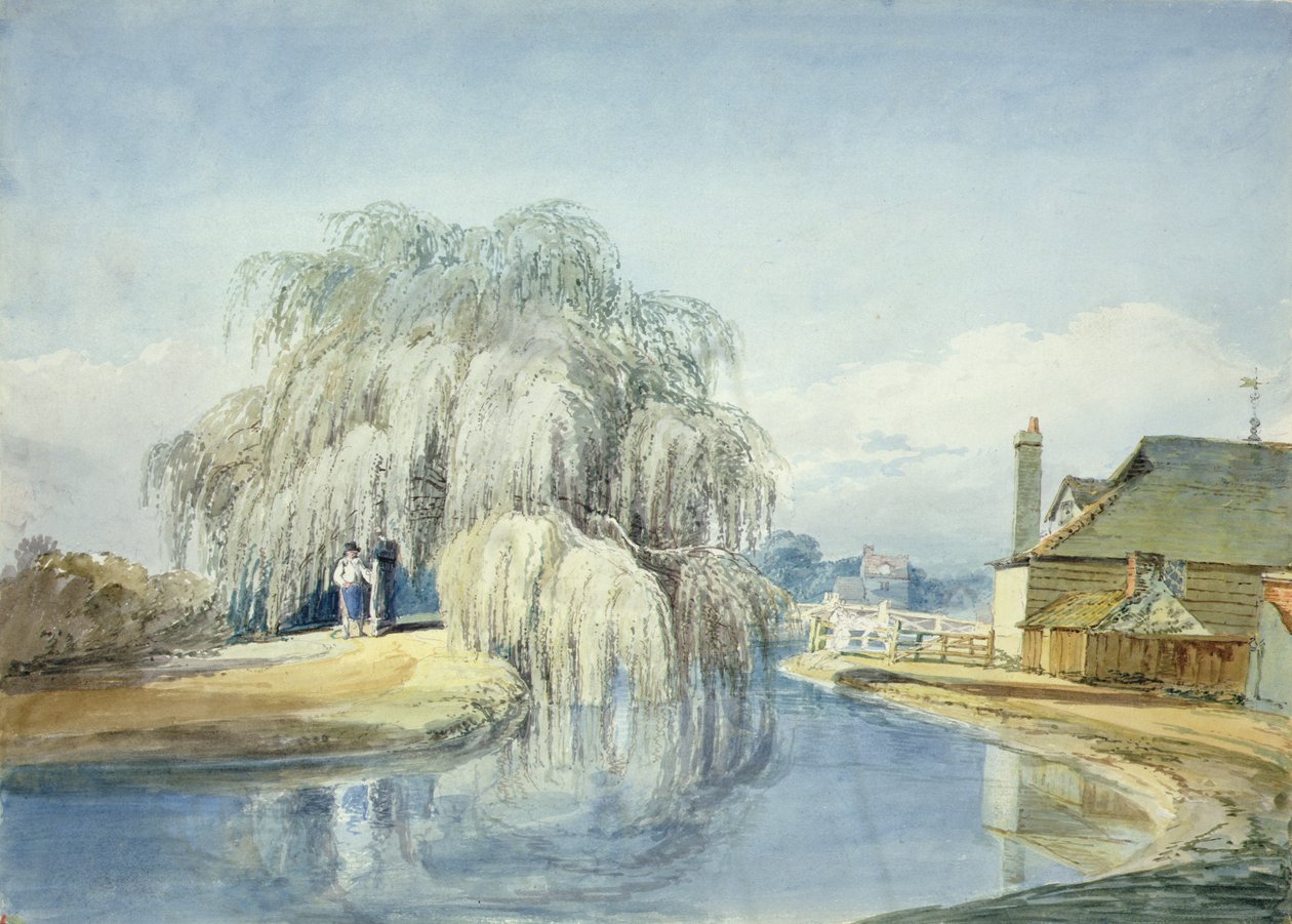 Ağlayan Söğüt (kağıt üzerine sulu boya) by Joseph Mallord William Turner