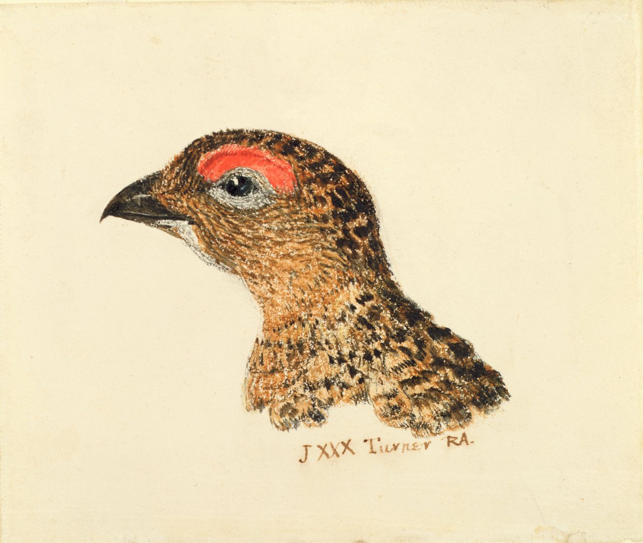 Orman Tavuğu Başkanı, The Farnley Book of Birds