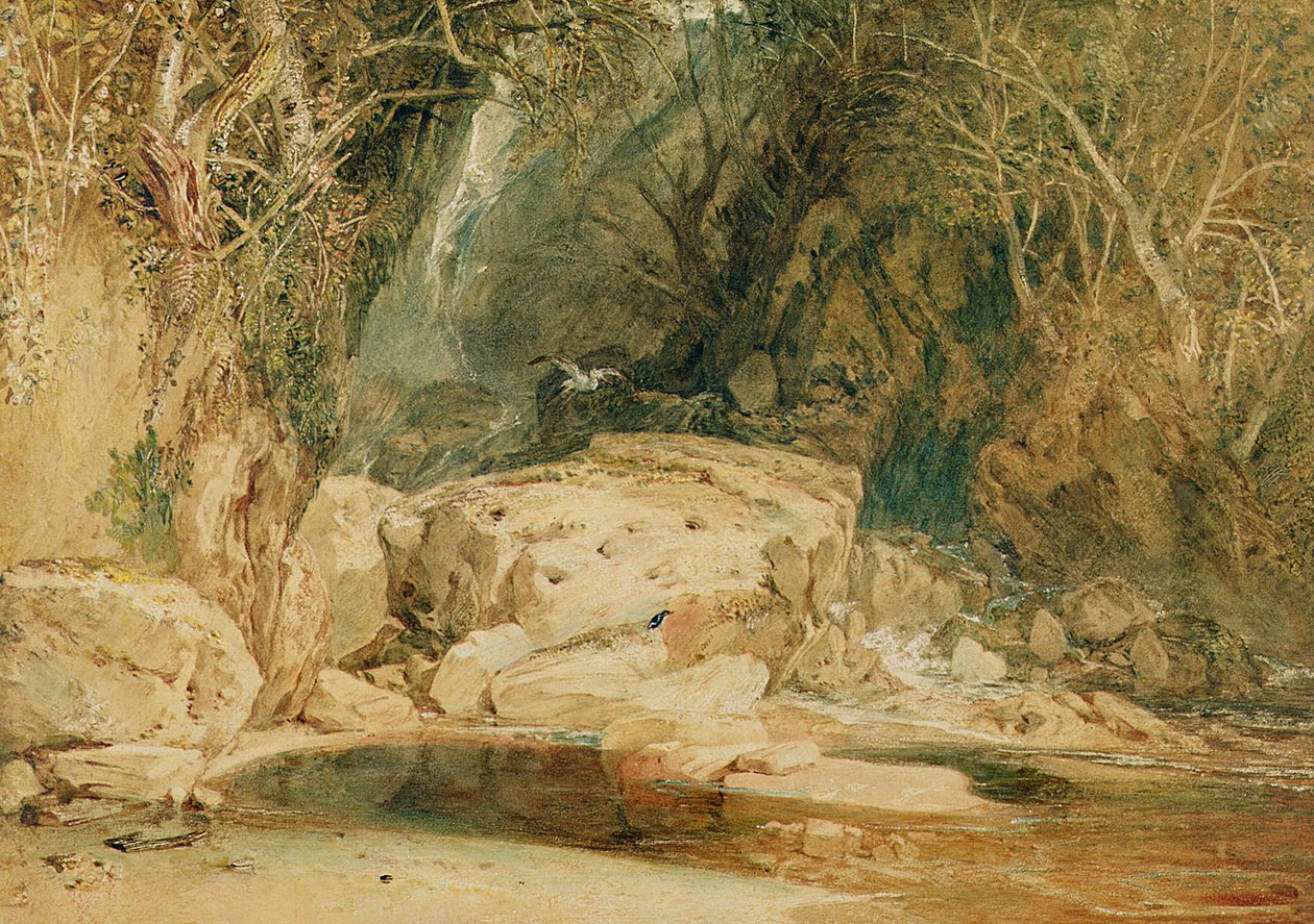 Lonely Dell, Wharfedale, c.1818 (kağıt üzerine sulu boya) by Joseph Mallord William Turner