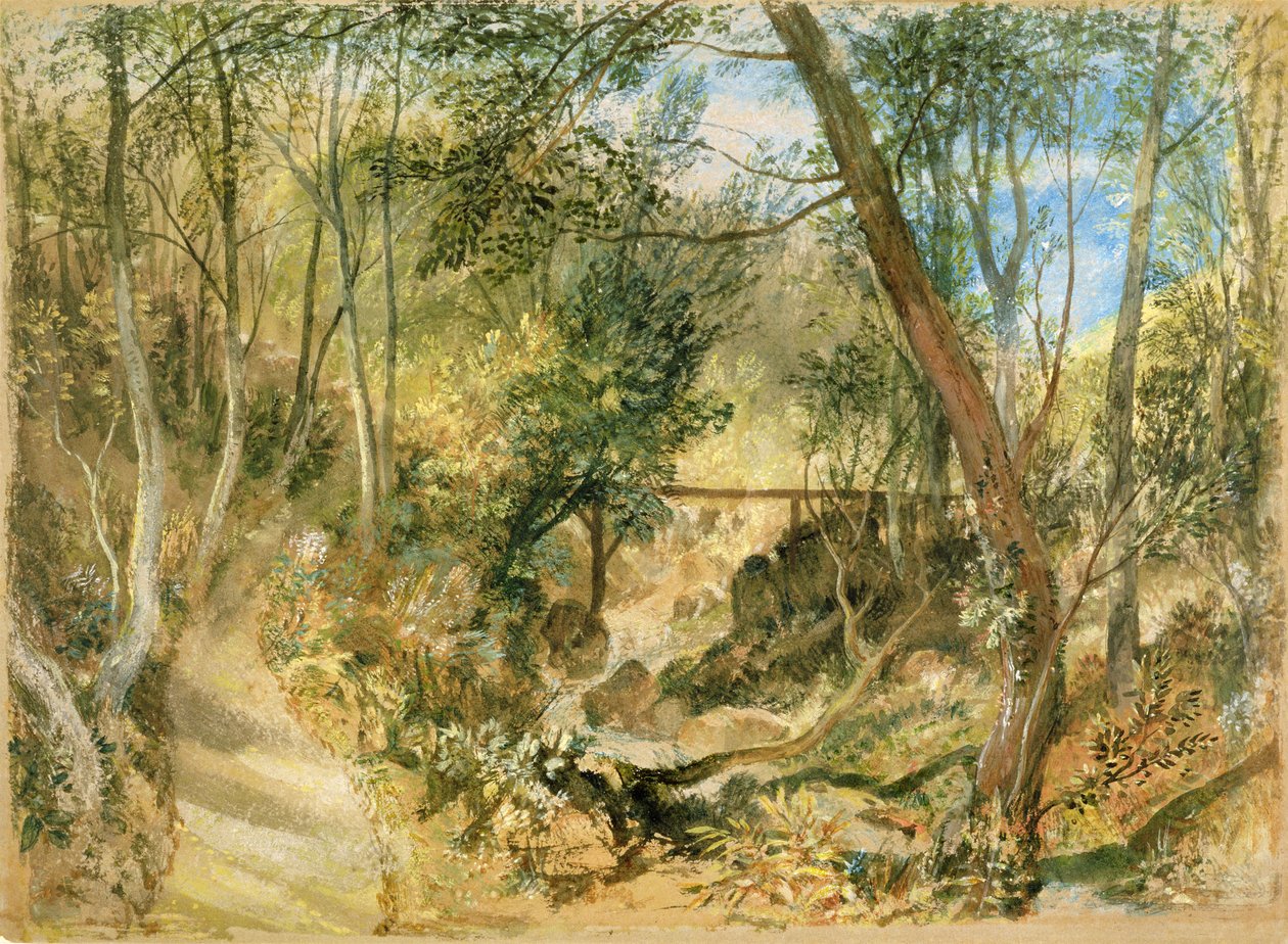 PD.50-1958 The Woodwalk, Farnley Hall, c.1818 (wc ve guaj) by Joseph Mallord William Turner