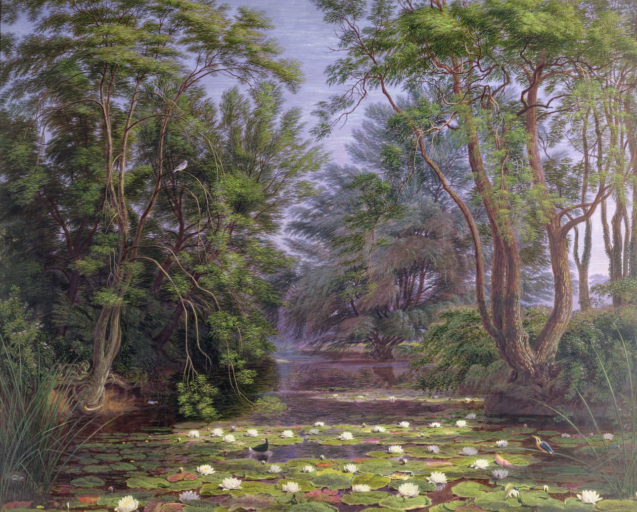 Cherwell Nehri Nilüferleri, 1851 by Joseph Mallord William Turner
