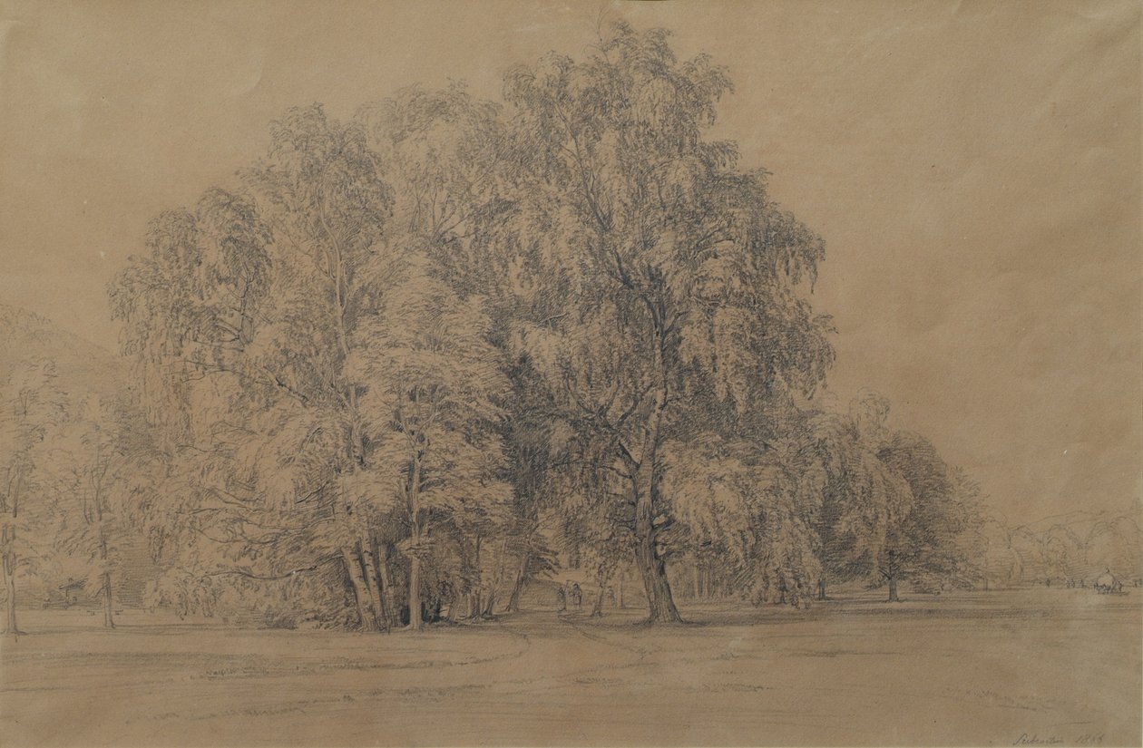 Aşağı Avusturya'daki Seebenstein Şatosu parkındaki huş ağaçları grubu by Joseph Martin Höger
