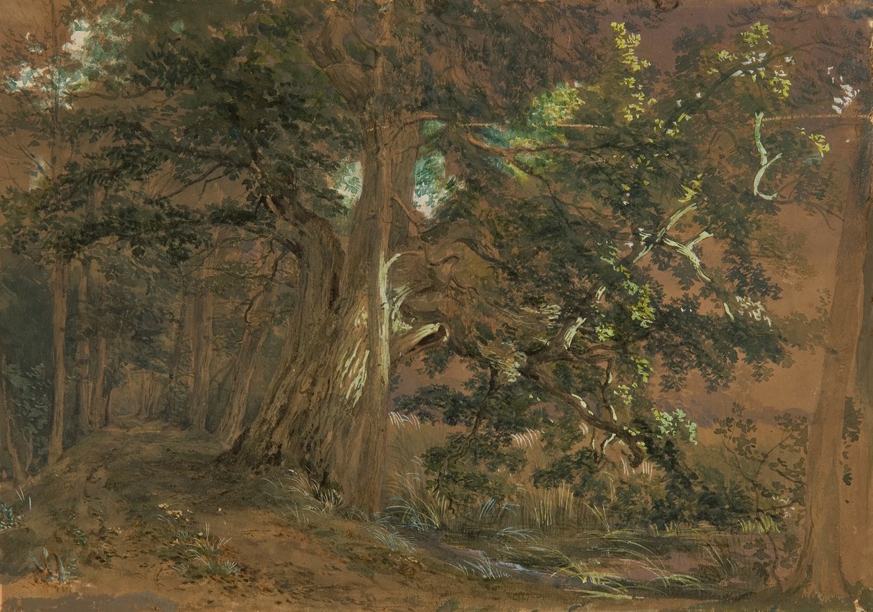 Lundenburg yakınlarındaki orman içi (bir dağ gölündeki akçaağaç grubu) by Joseph Martin Höger
