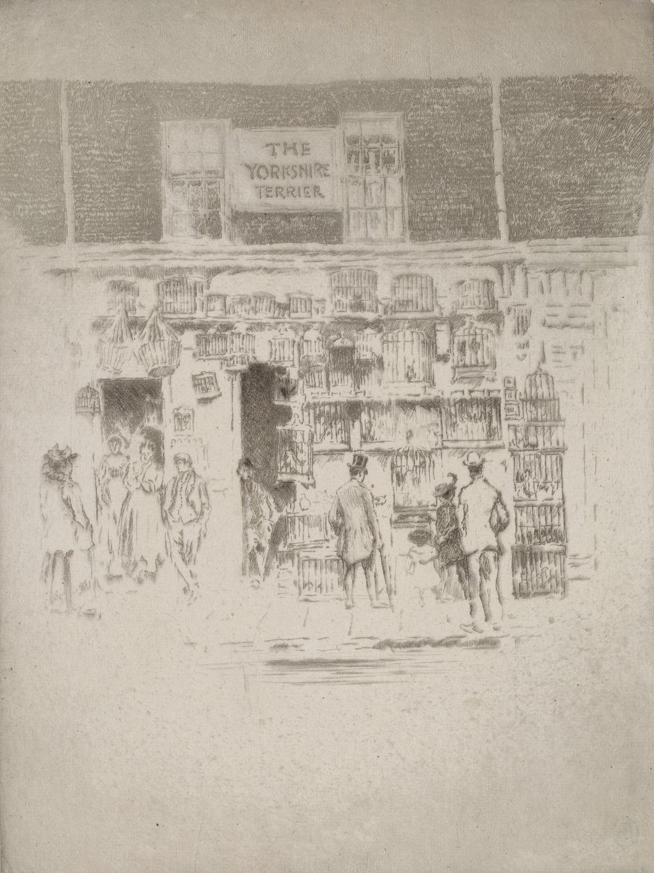Yorkshire Teriyeri, 1903. by Joseph Pennell