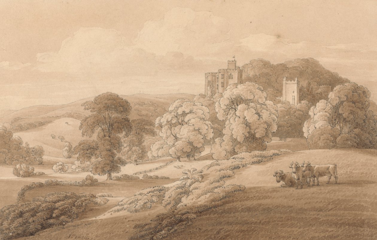 Dunster Kalesi, Somerset by Joseph Powell