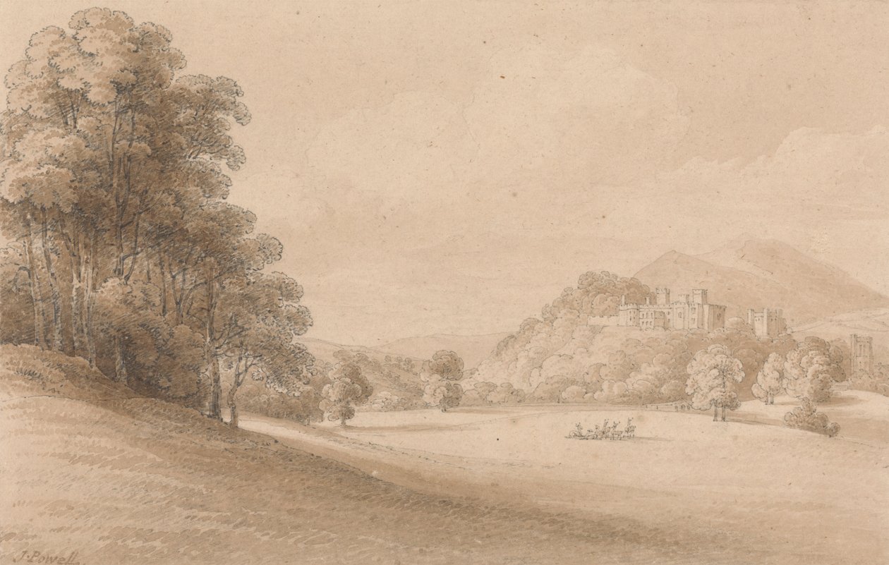 Dunster Kalesi, Somerset: Uzaktaki Kaleyi Gösterme by Joseph Powell