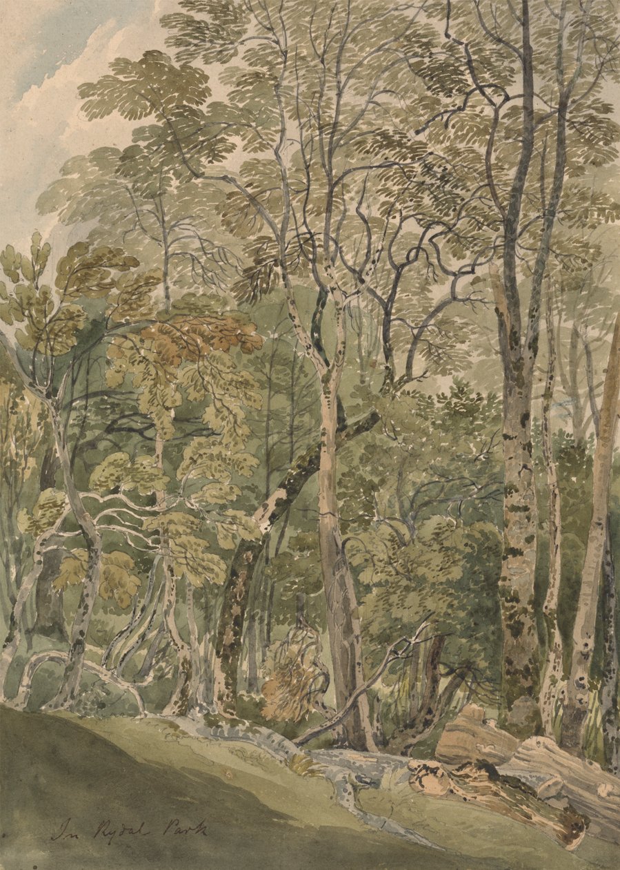 Rydal Park'ta by Joseph Powell