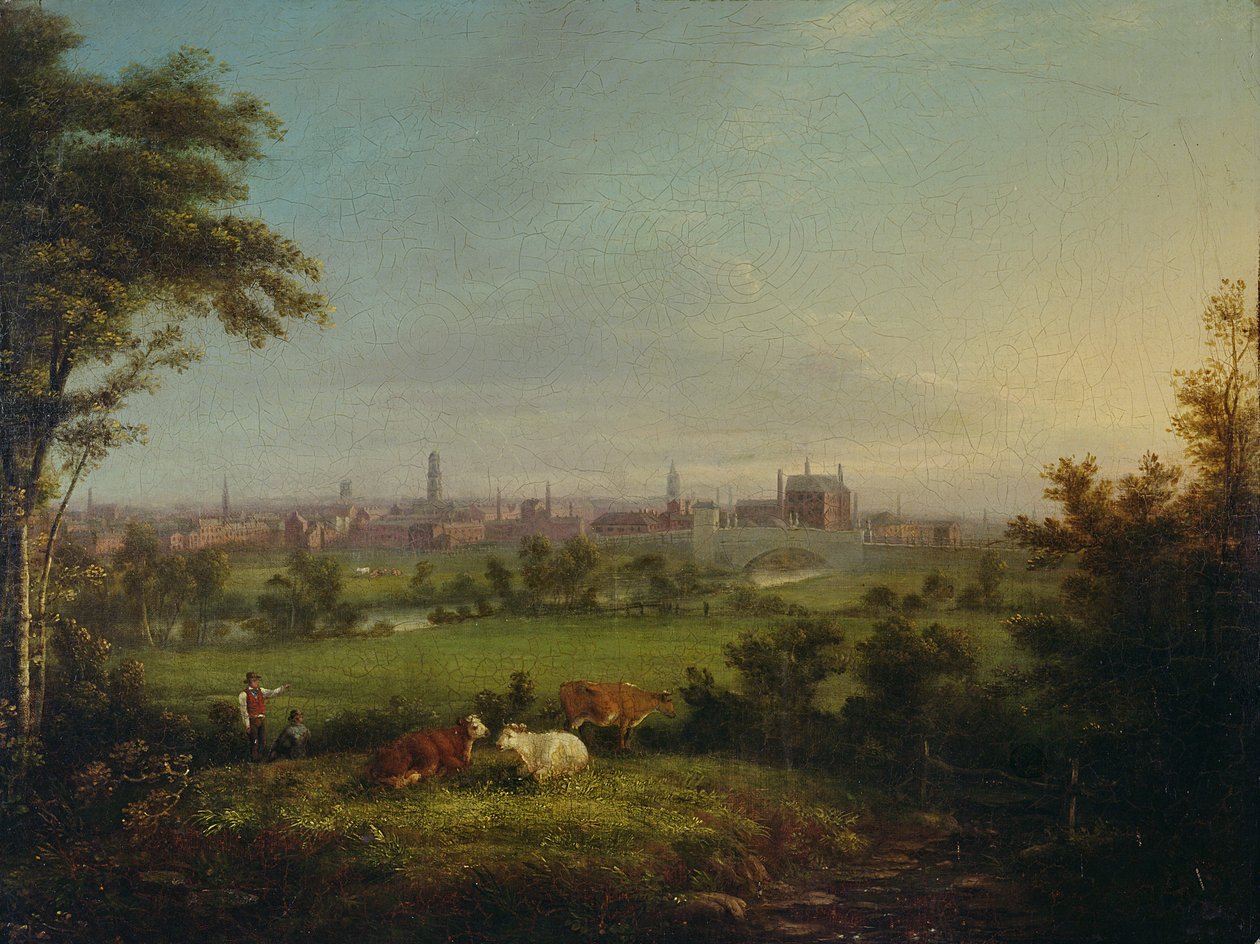 Meadows