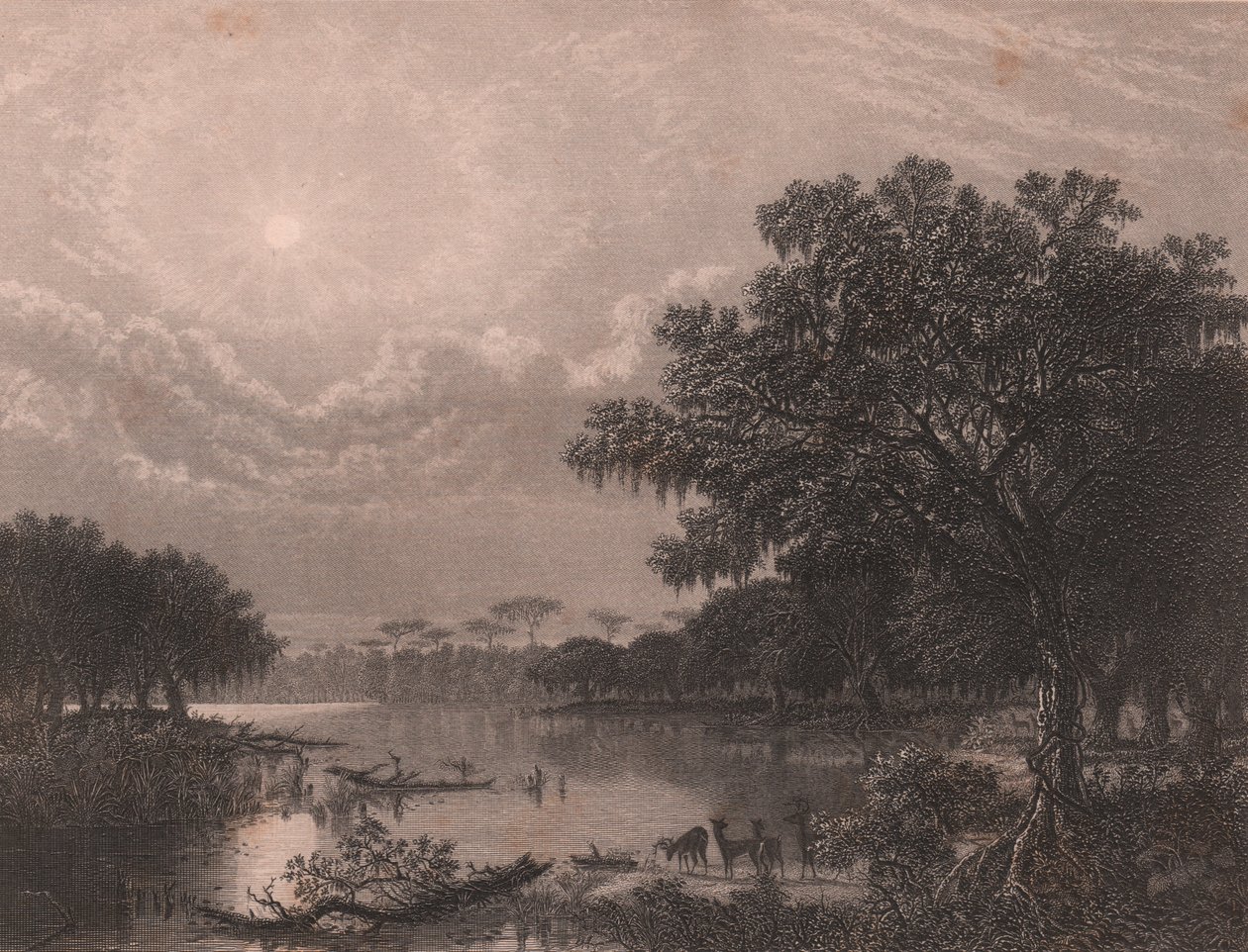 Louisiana Bayou, Amerika Birleşik Devletleri, Joseph Rusling Meeker'in (1827-1889) tablosundan sonra Robert Hinshelwood'un (1812-1875'ten sonra) çelik gravürü, yaklaşık 16x18 cm by Joseph Rusling Meeker