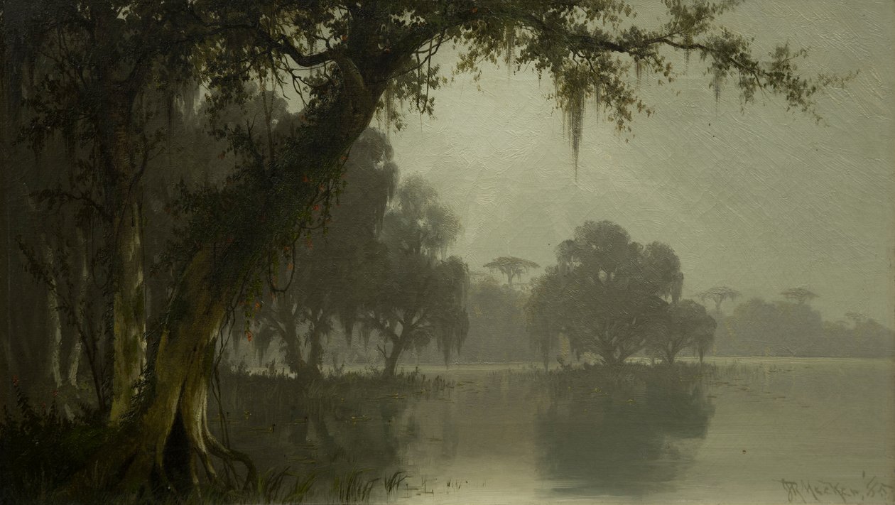bataklık sahnesi by Joseph Rusling Meeker