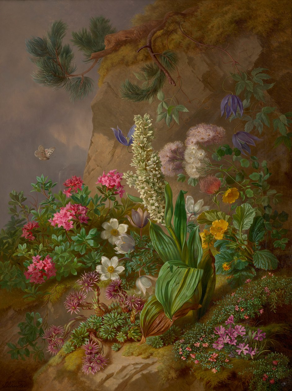 Alpenblumen by Joseph Schuster