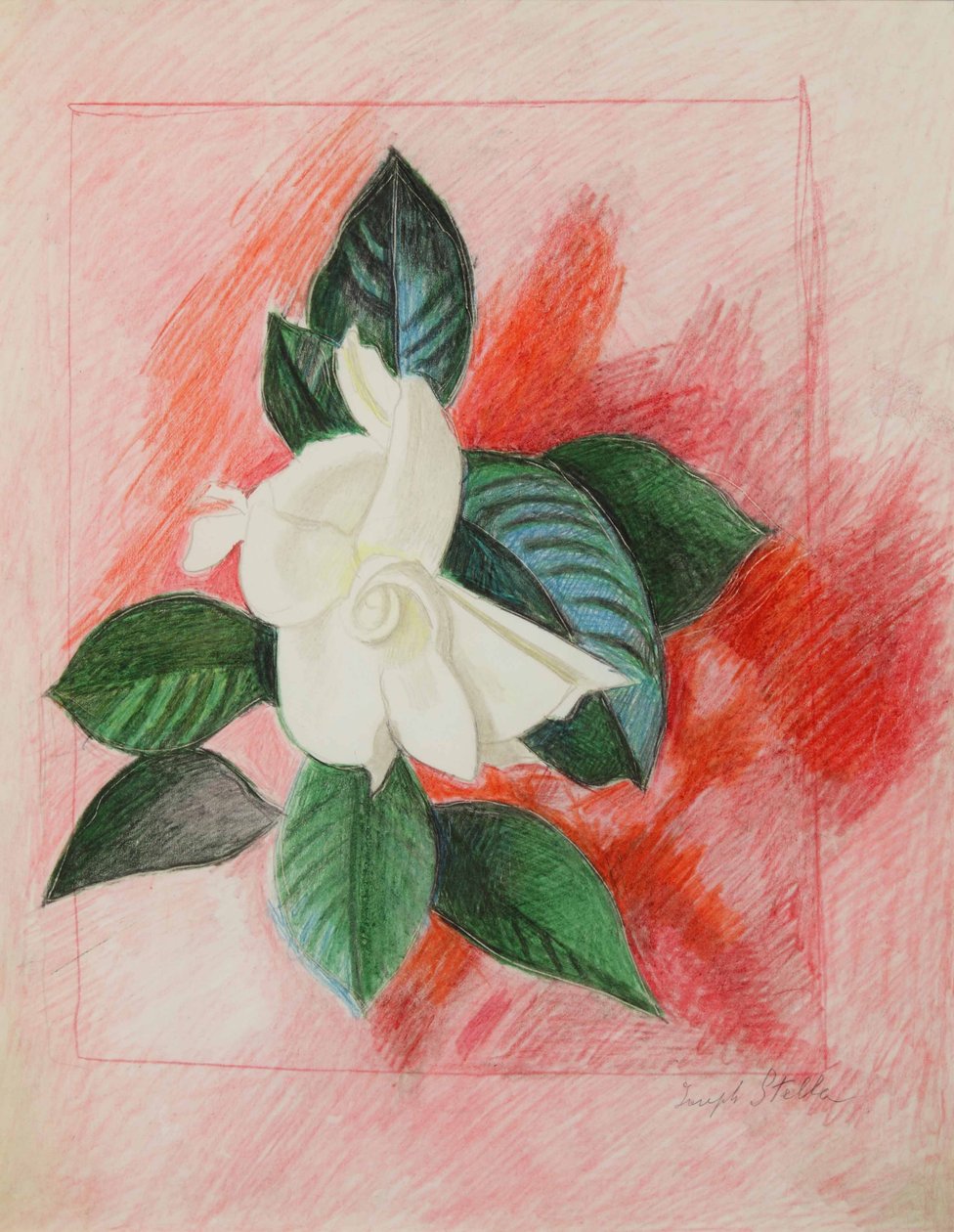  by Joseph Stella
