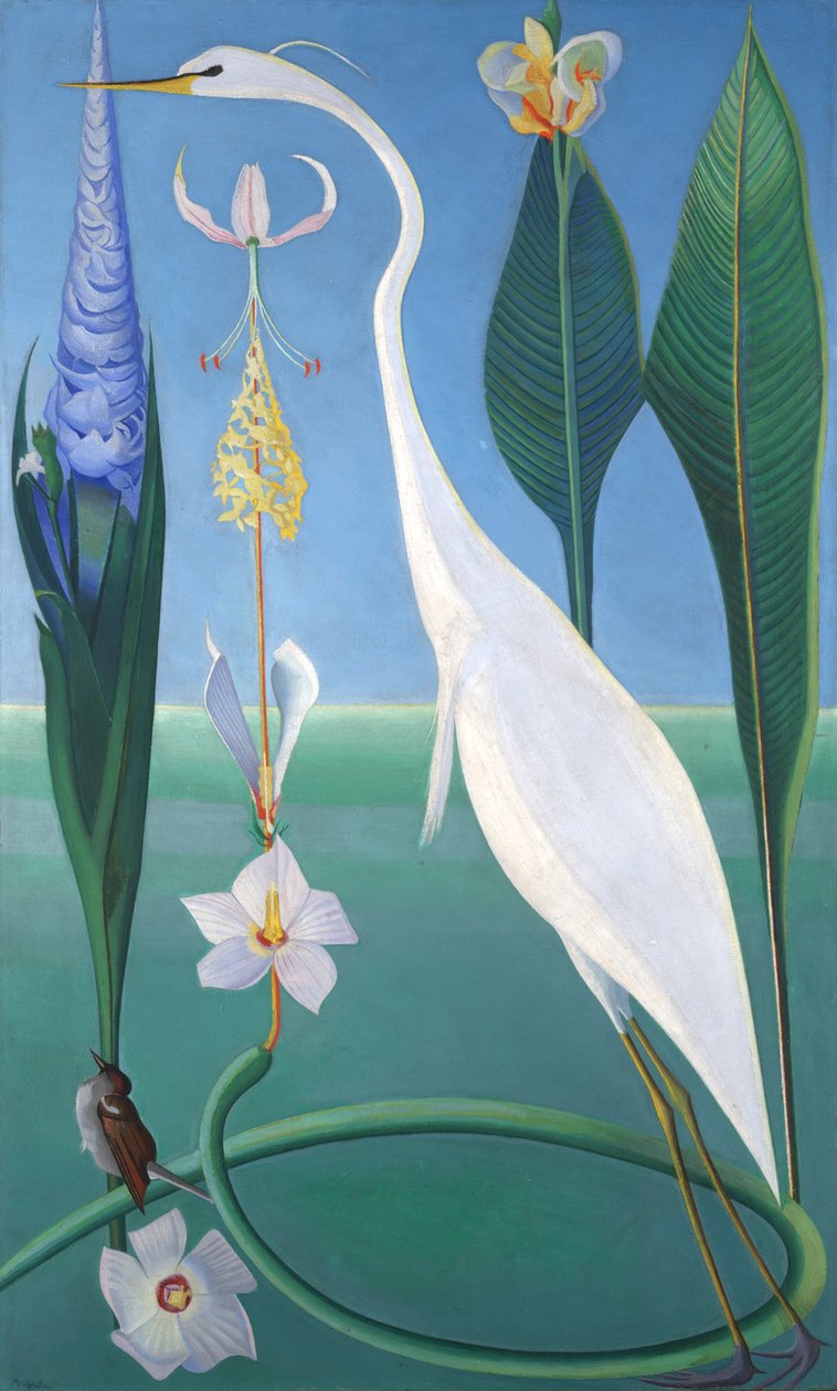 Beyaz Balıkçıl by Joseph Stella