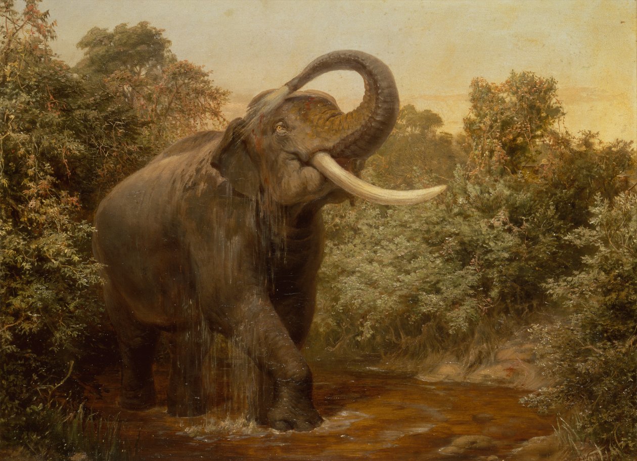 Canavar Tusker (tuval üzerine yağlı boya) by Joseph Wolf