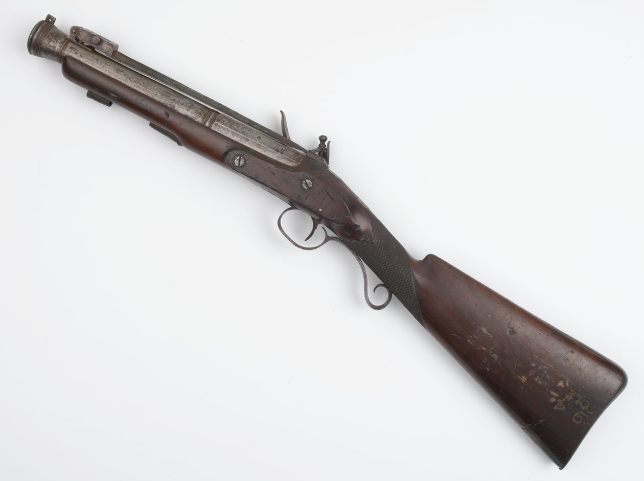 İrlanda Gönüllülerine verilen yaylı süngü ile Blunderbuss, c.c.1815 (blunderbuss, çakmaktaşı) by Joseph Wood