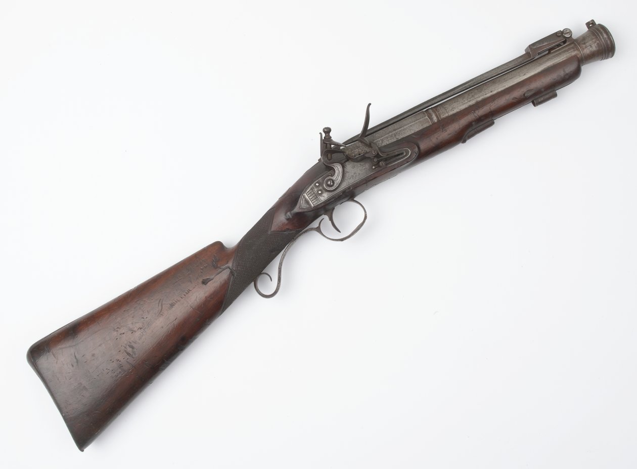 İrlanda Gönüllülerine verilen yaylı süngü ile Blunderbuss, c.c.1815 (blunderbuss, çakmaktaşı) by Joseph Wood