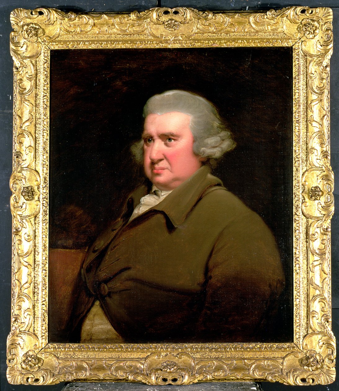 Erasmus Darwin