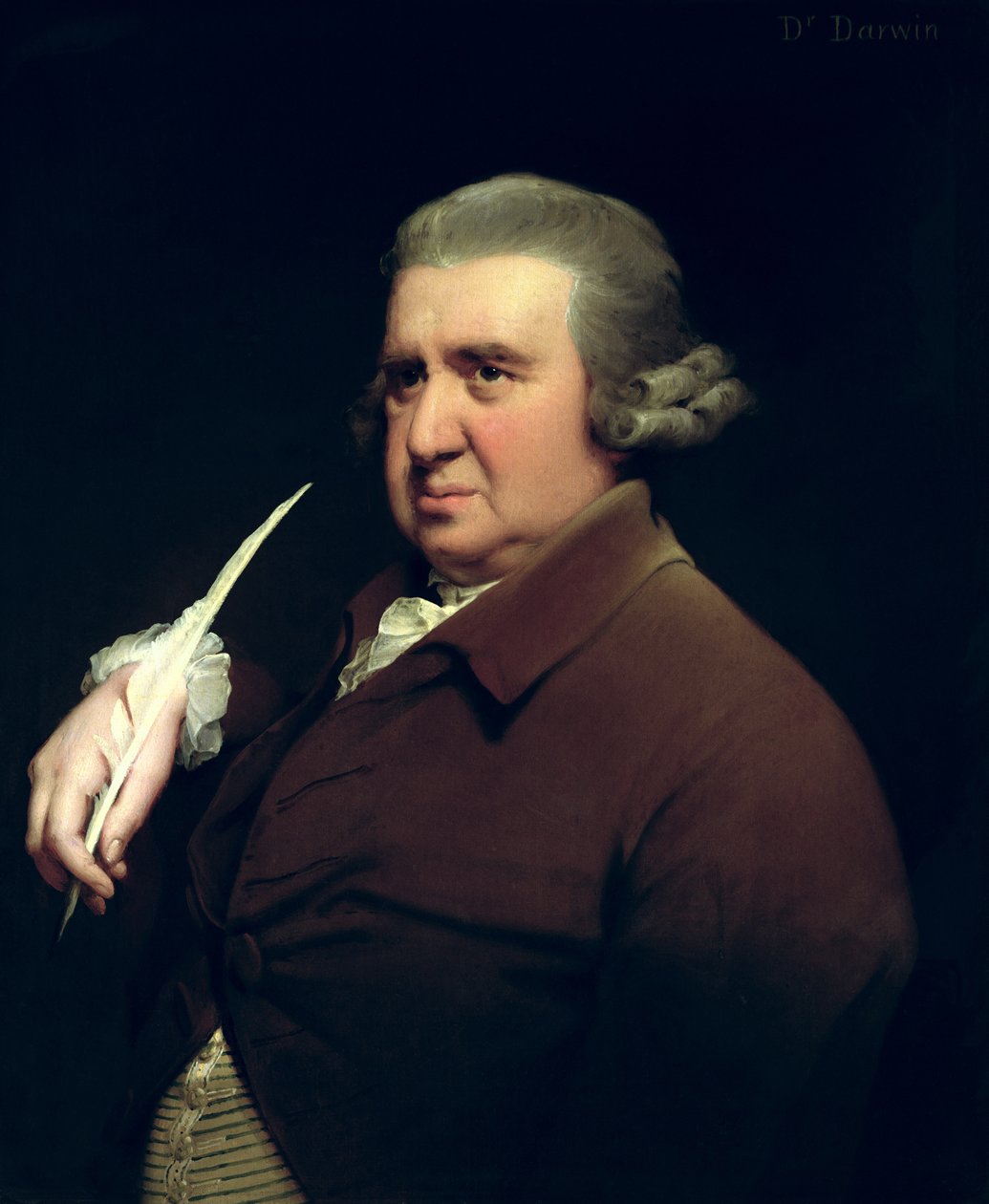 Dr Erasmus Darwin