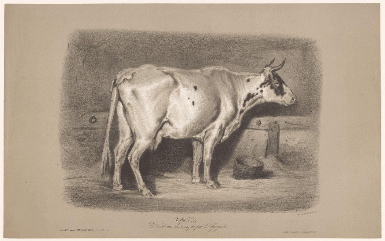 Bir ahırda inek Vache (nesne üzerindeki başlık) İki tür tebeşirde hayvan çalışmaları (dizi başlığı) Etude aux deux boya kalemleri par Z. Gengembre (nesne üzerinde seri başlığı) by Joseph Zephyris Gengembre