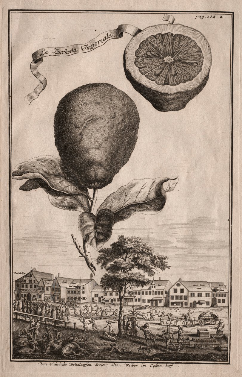 Nürnbergische Hesperides: La Luchetta Imoperiale, 1714. by Joseph de Montalegre