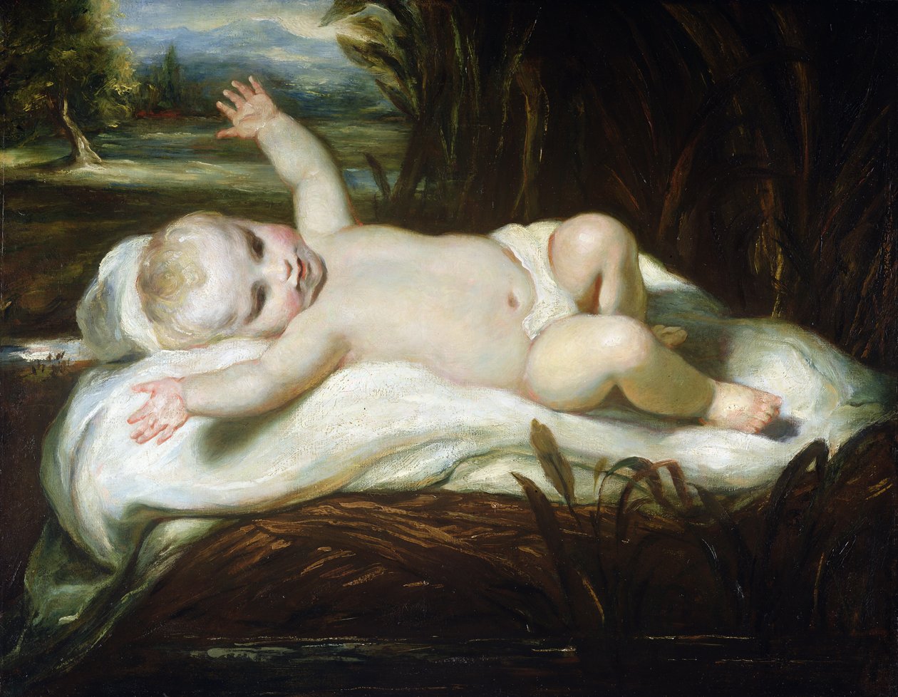 Musa Bullrushes (çizgisiz tuval üzerine yağlıboya) by Joshua Reynolds