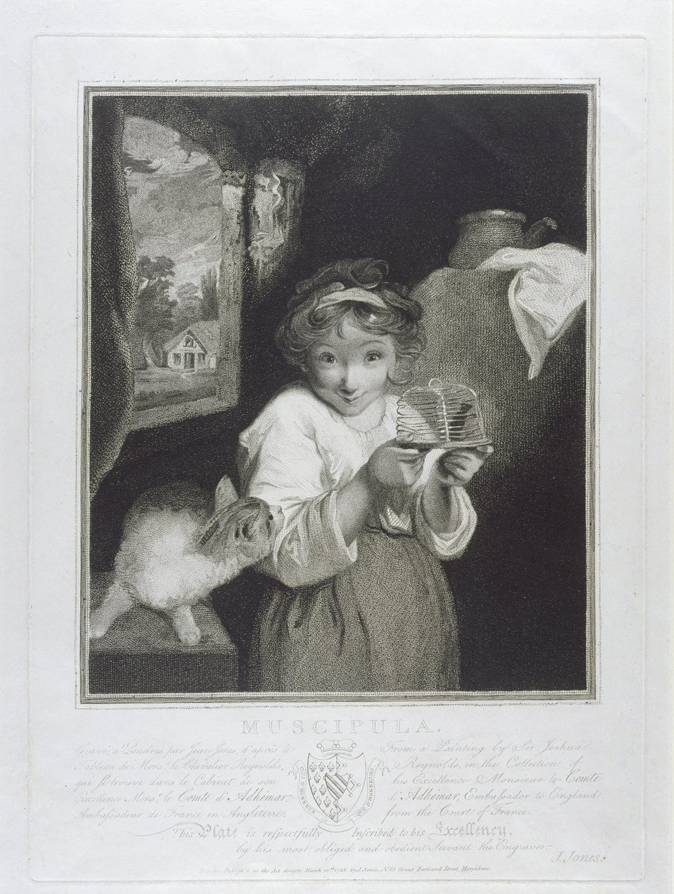 Muscipula, John Jones tarafından oyulmuş (c.1745-97) 1786 by Joshua Reynolds