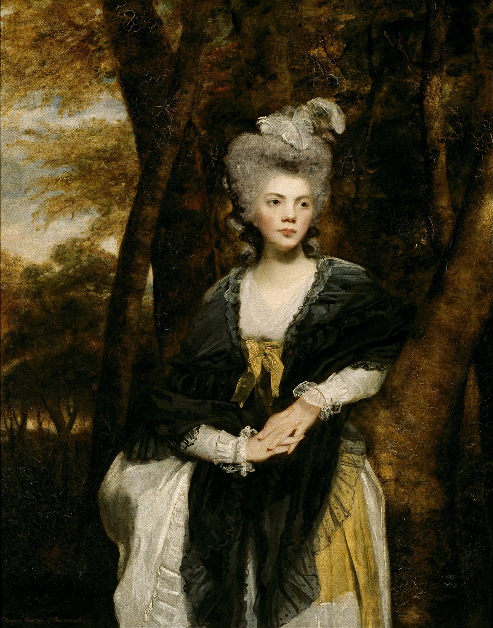  by Joshua Reynolds