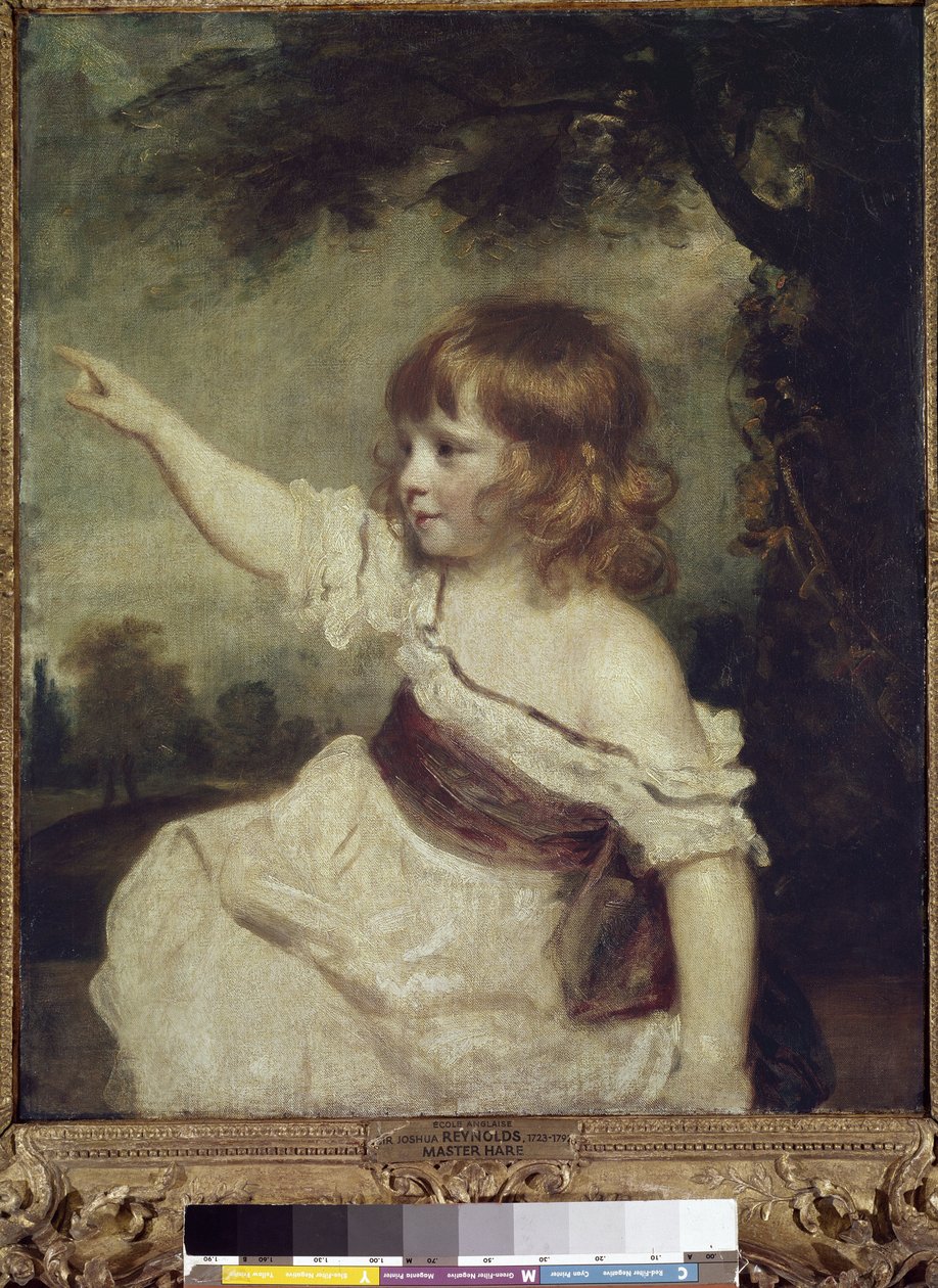 Usta Tavşan (Francis George Hare (tuval üzerine yağlı boya) by Joshua Reynolds