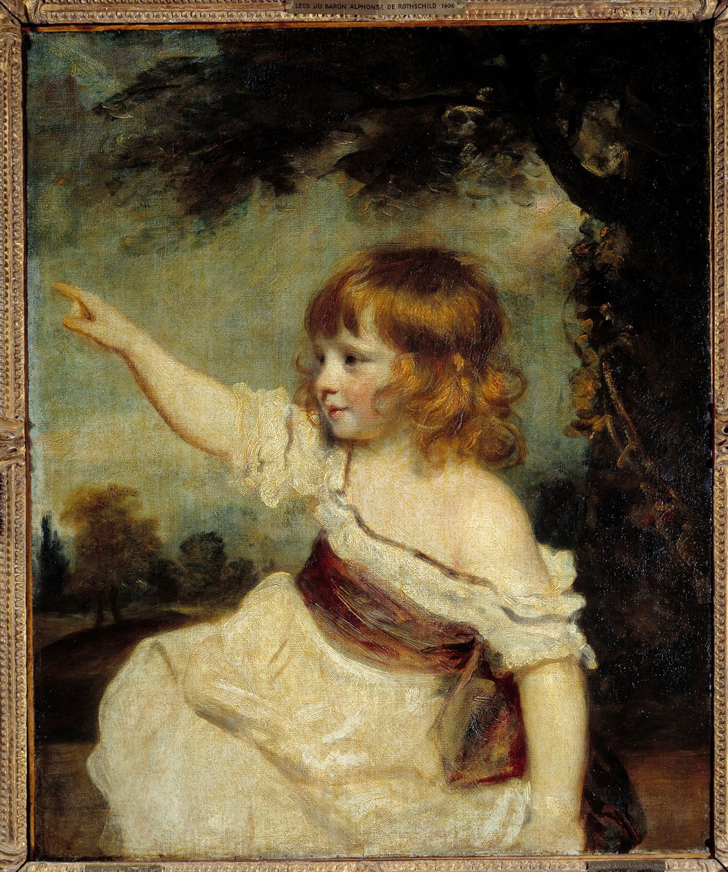 Yazar Francis Hare Naylor