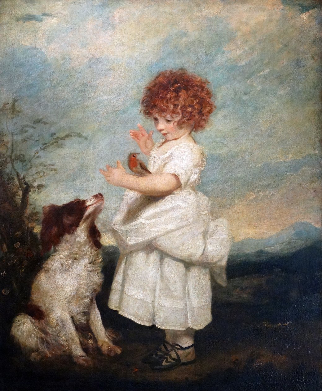 Usta Philip Yorke#39;un Portresi, Sir Joshua Reynolds by Joshua Reynolds