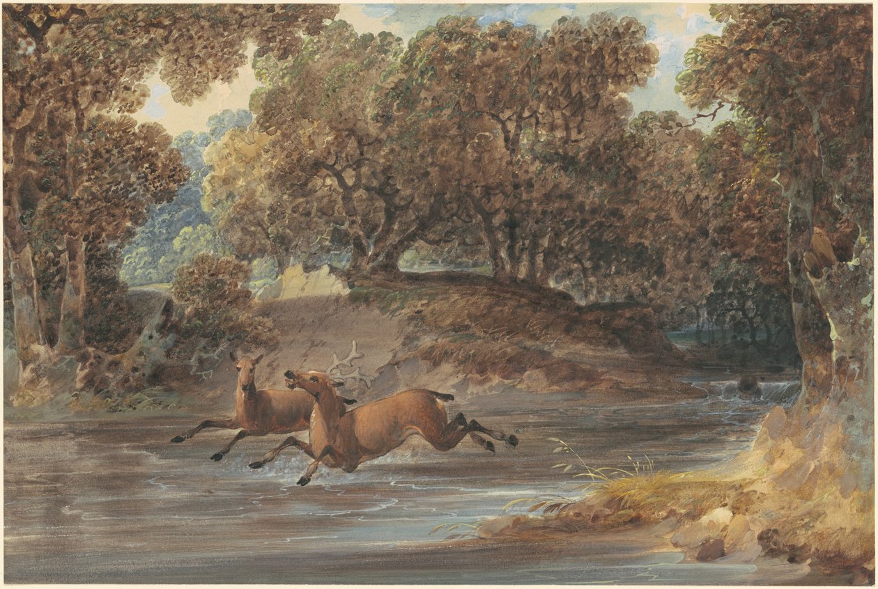 Geyik, Kuzey Karolina ile manzara by Joshua Shaw
