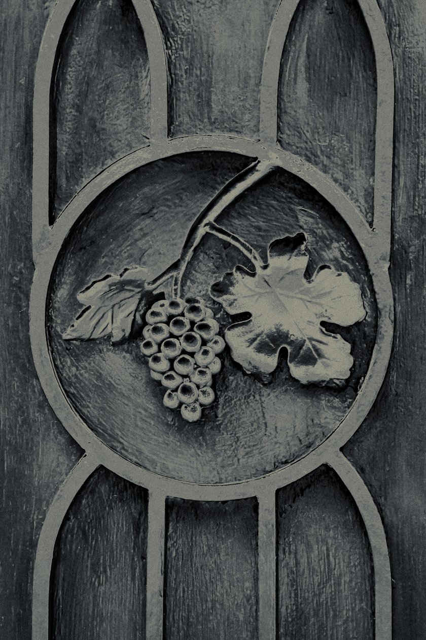  by Joy Lions