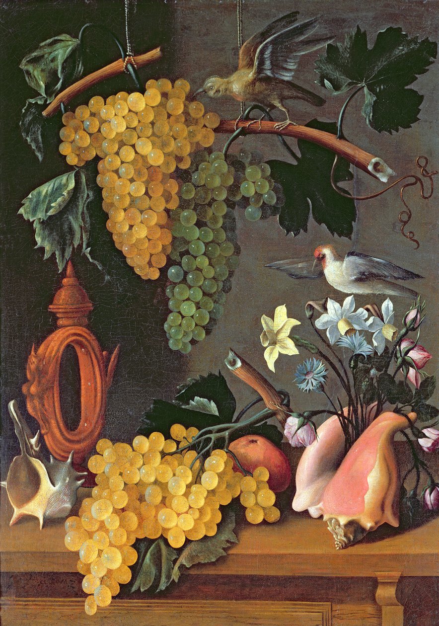 Üzüm, Kuş, Çiçek ve Kabuklu Natürmort by Juan de Espinosa