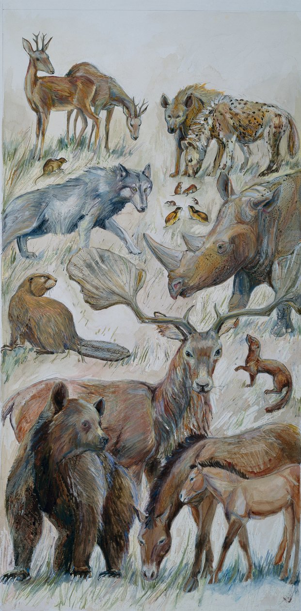 by Judith Dobie