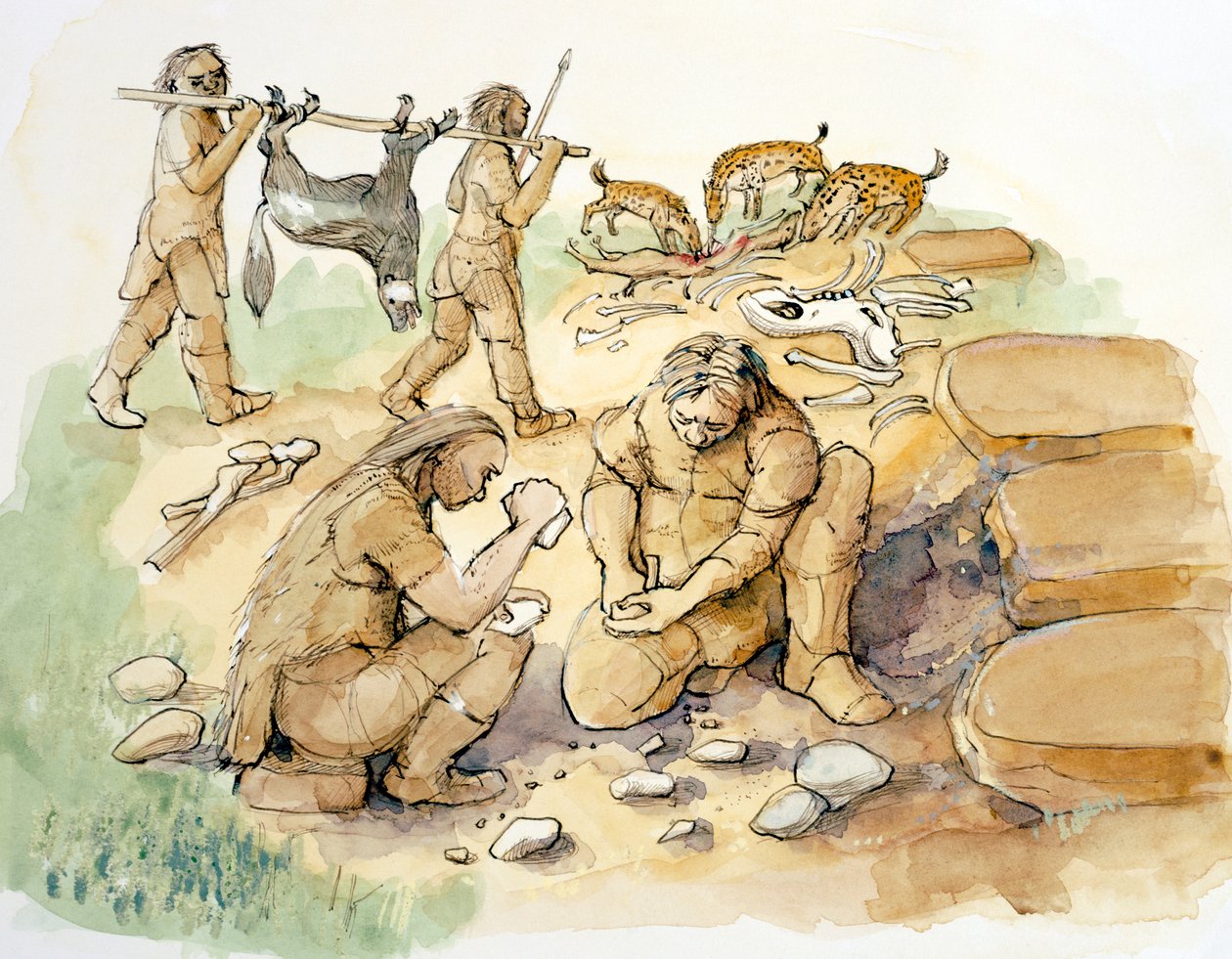 Hominidler ve Sırtlanlar, Üst Paleolitik, c1990-2010 by Judith Dobie