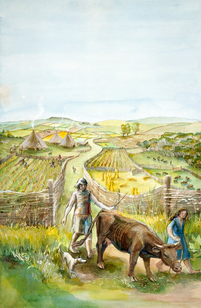 Kırsal peyzaj, 2000BC, c1990-2010 by Judith Dobie