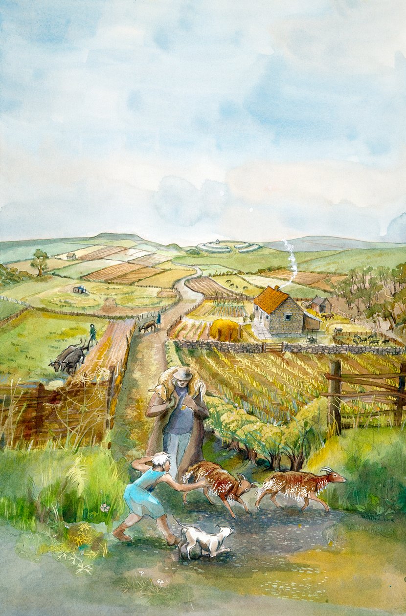Kırsal manzara, 3. Yüzyıl, c1990-2010 by Judith Dobie