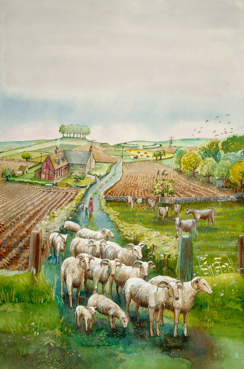 Kırsal manzara, c2010 by Judith Dobie