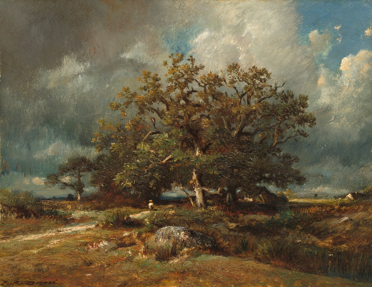 eski meşe by Jules Dupré